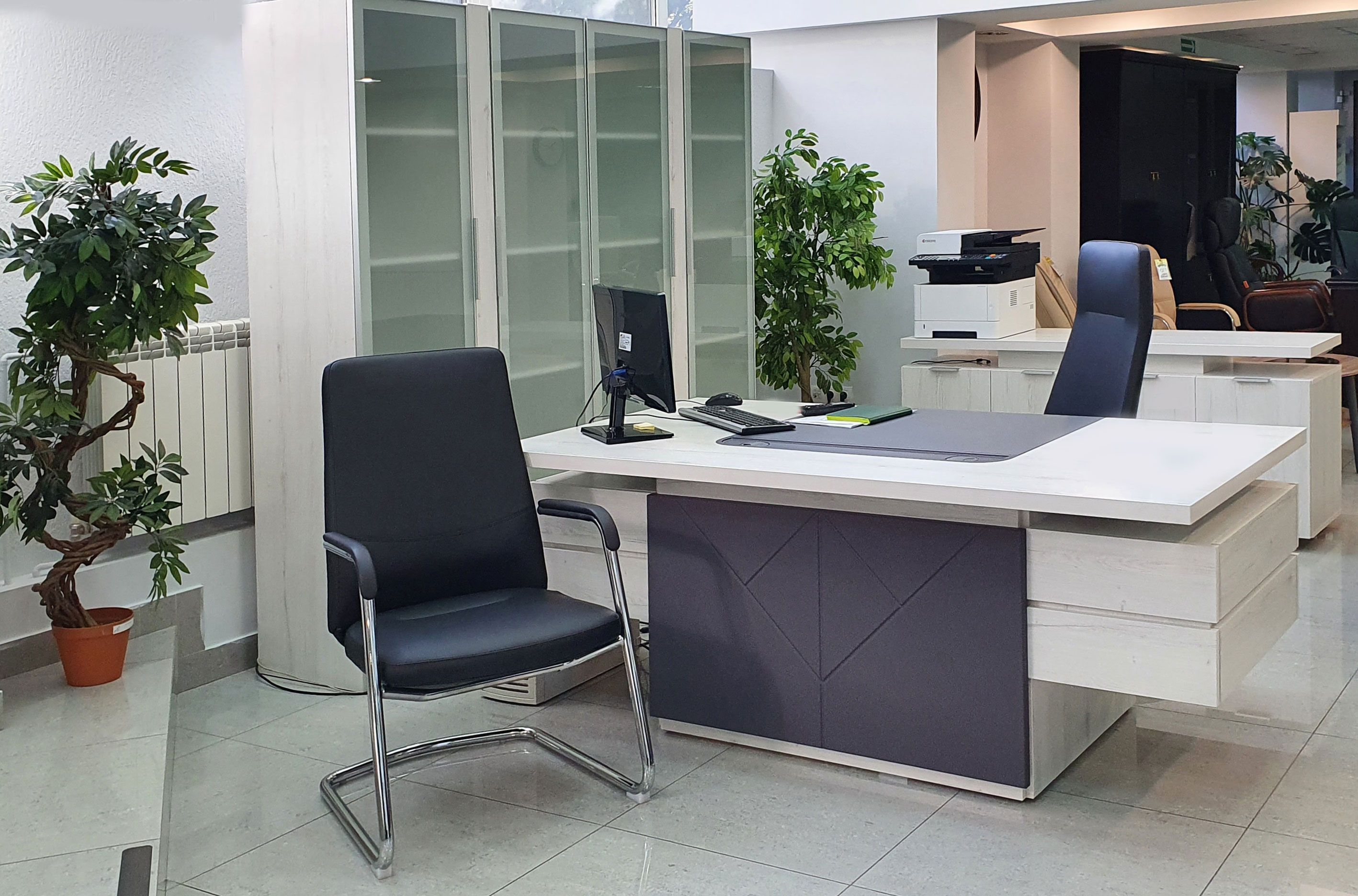 Шкаф со стеклянными дверьми TS-40+TS-07.1+TS-08.1 фото 3